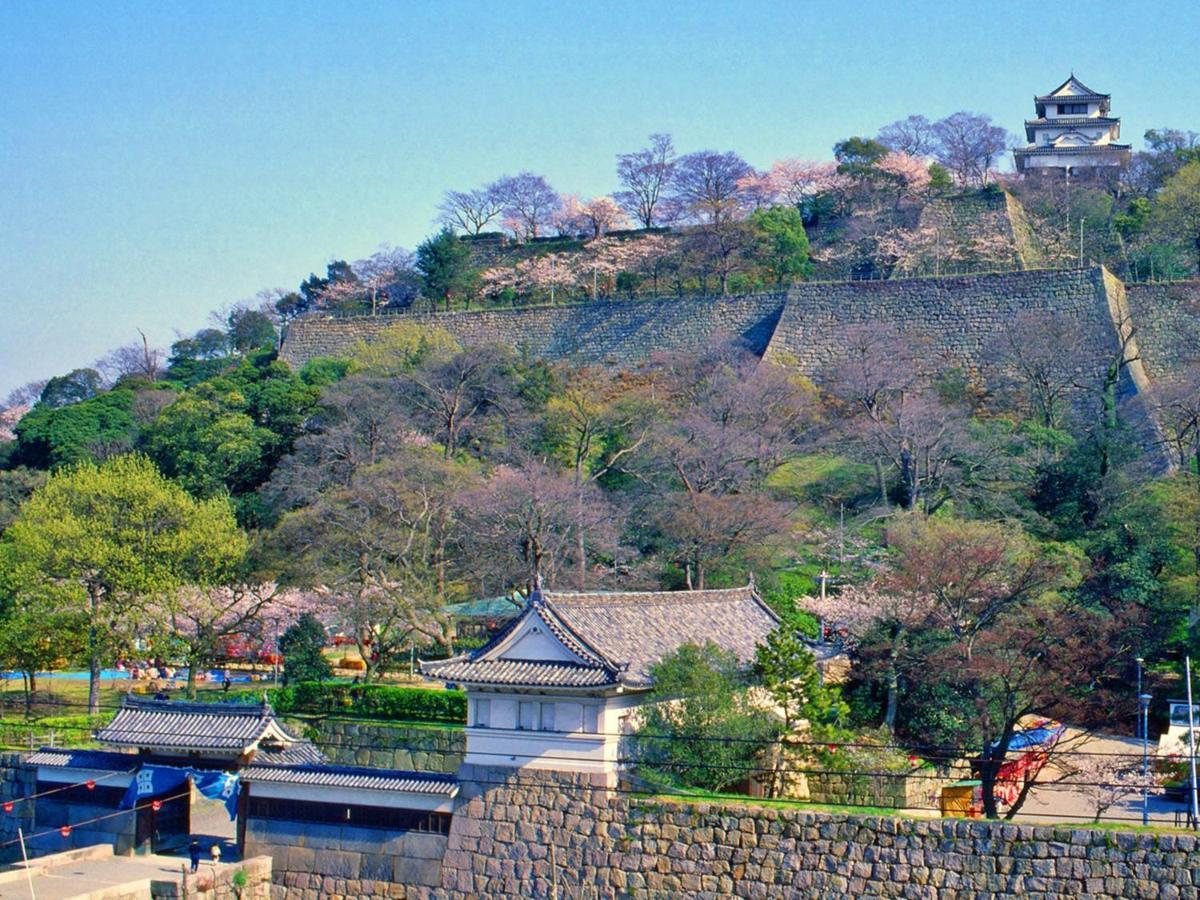 虎丸旅馆